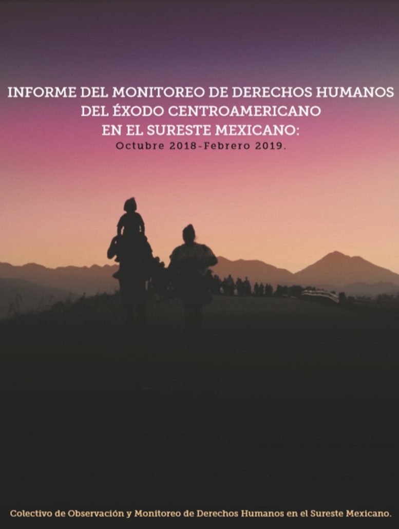 Informe del monitoreo de derechos humanos del éxodo centroamericano en el sureste mexicano: octubre 2018-febrero 2019.
