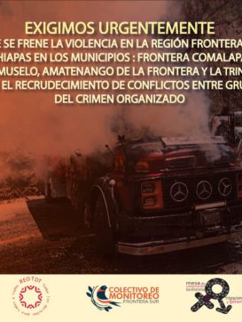 Red TdT-Urgente frenar violencia generalizada en la Región Frontera de Chiapas